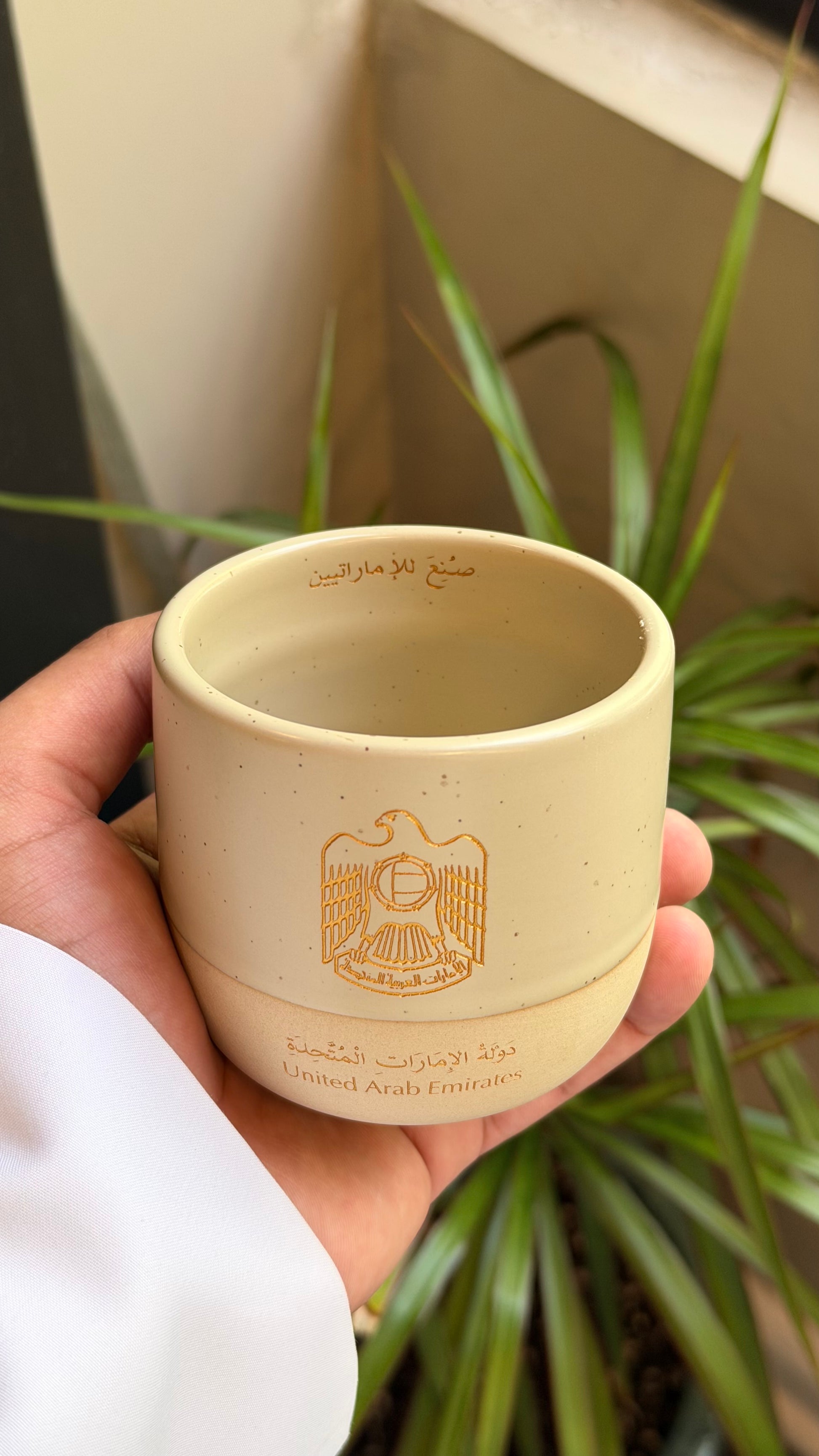 Al Emirates cup🇦🇪