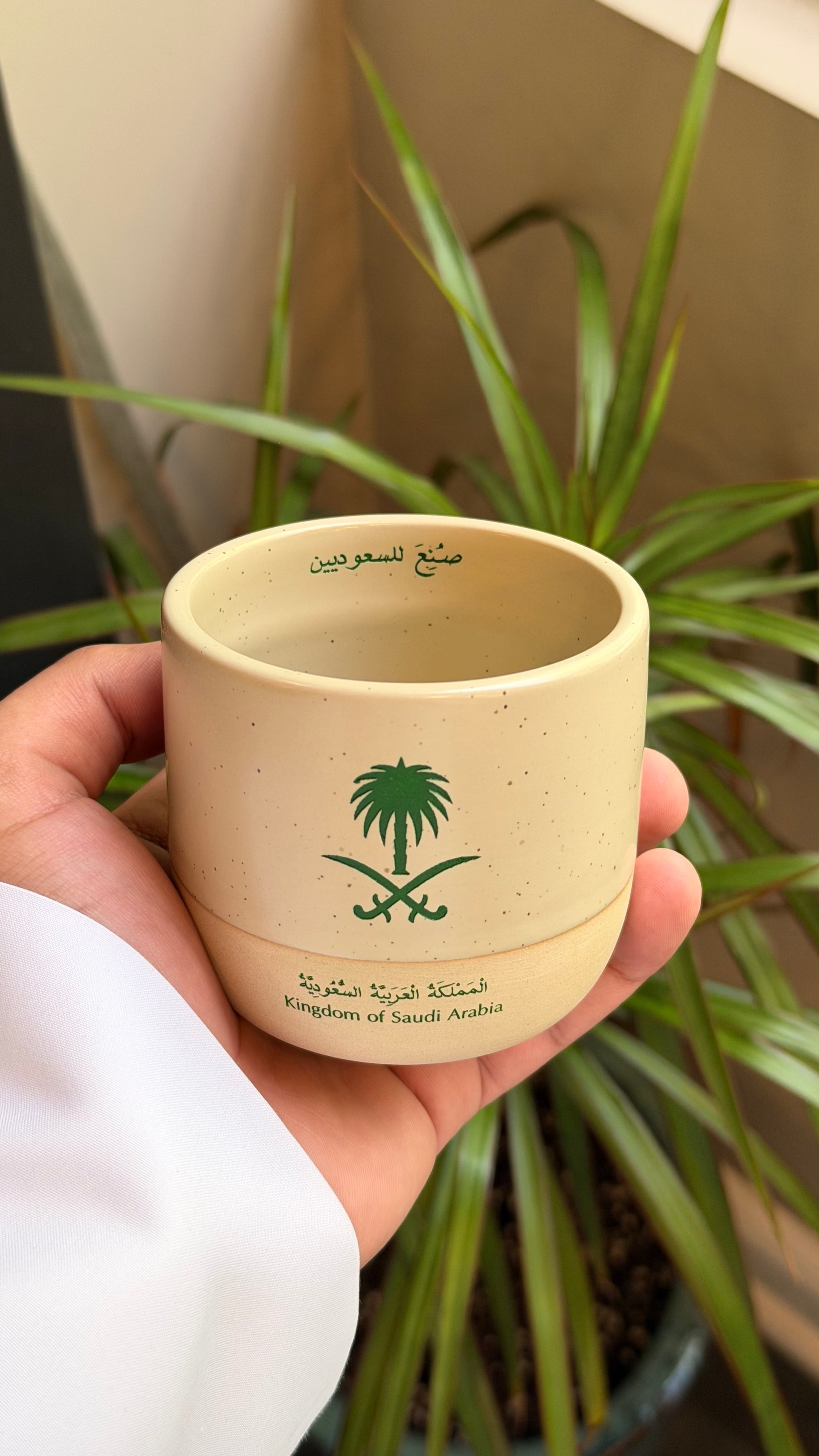 Al saudia Cup 🇸🇦